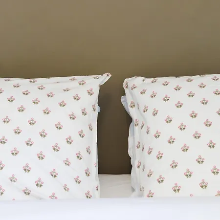 Haussmannien Des Jardins De La Fontaine 尼姆